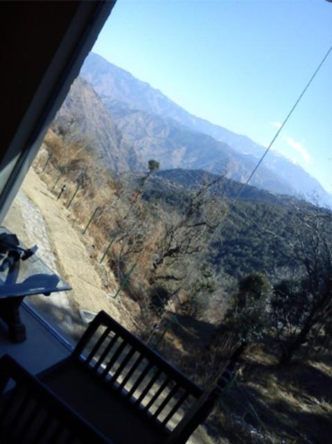 Natureraga Fernhill Resort Chail Eksteriør bilde