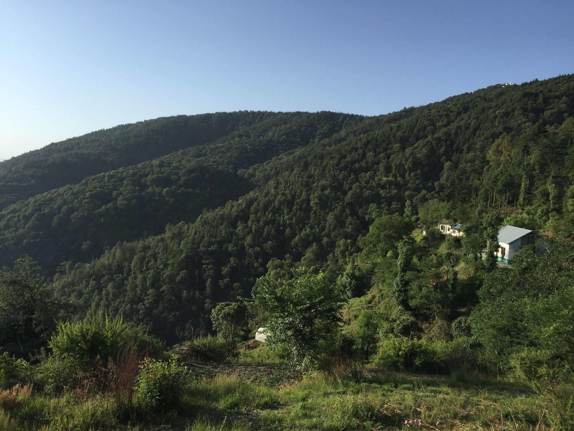 Natureraga Fernhill Resort Chail Eksteriør bilde