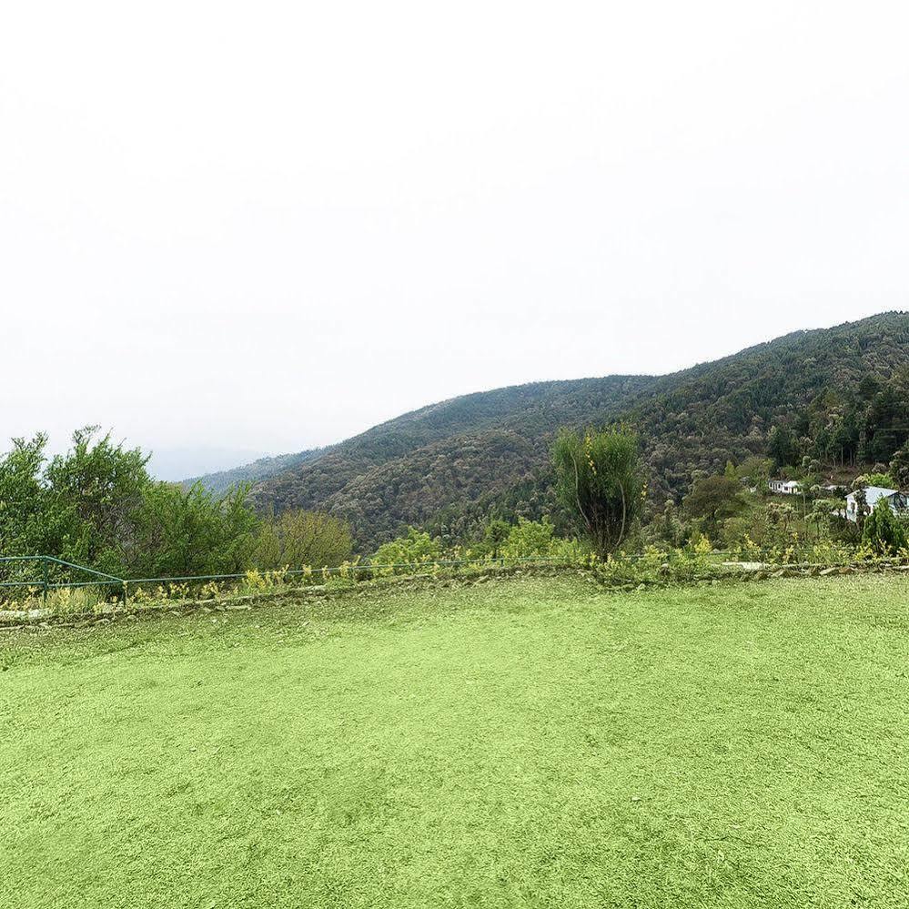 Natureraga Fernhill Resort Chail Eksteriør bilde